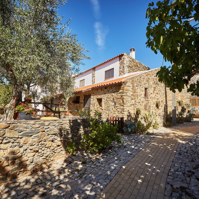 Casa da Pífara - Aldeia Oliveiras