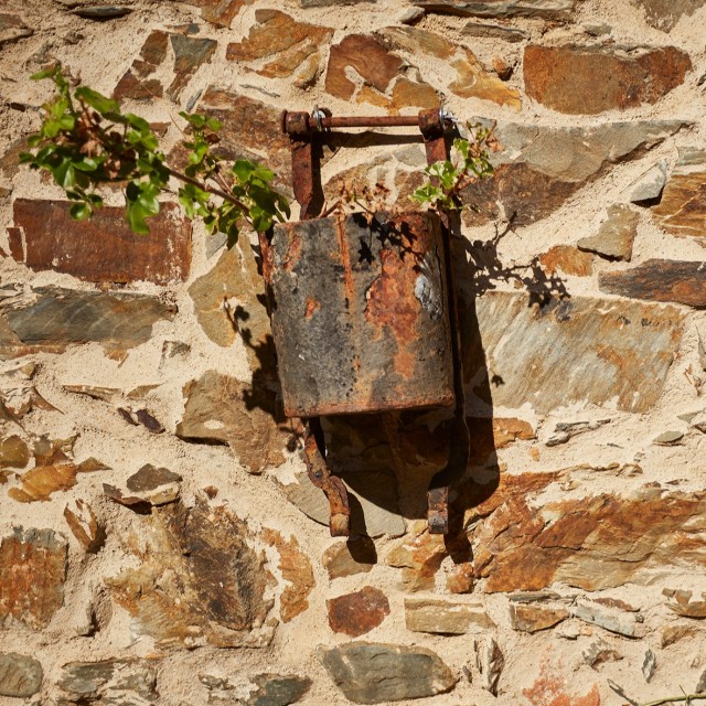 Casa da Pífara - Aldeia Oliveiras