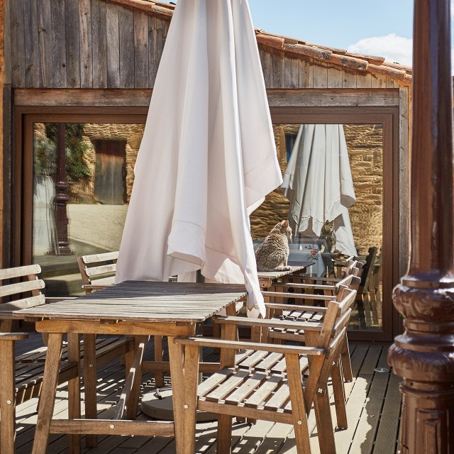 Casa Amores-Perfeitos - Xisto Sentido