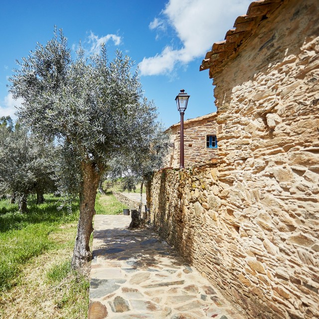 Casa Amores-Perfeitos - Xisto Sentido