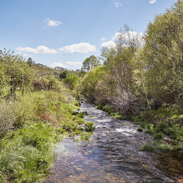 Casa Amores-Perfeitos - Xisto Sentido