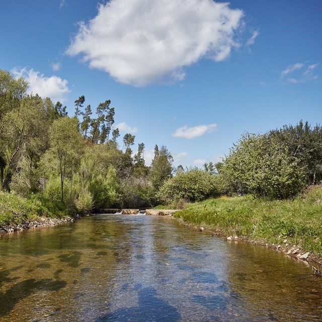 Casa Amores-Perfeitos - Xisto Sentido