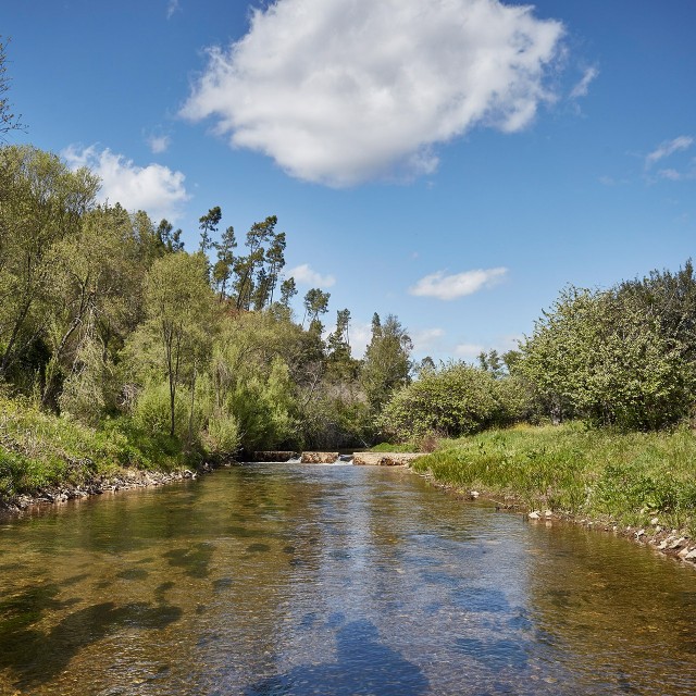 Casa Alfazema - Xisto Sentido