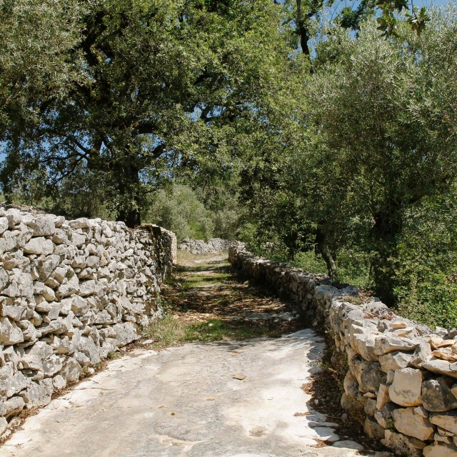 Casa Nascente - Casal Frias