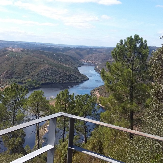 Casa da Ameixeira - Casas dos Carregais
