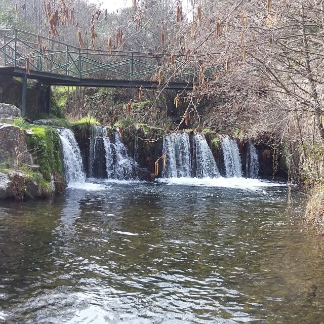 Casa da Ameixeira - Casas dos Carregais
