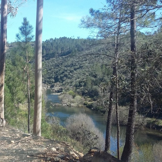 Casa da Ameixeira - Casas dos Carregais