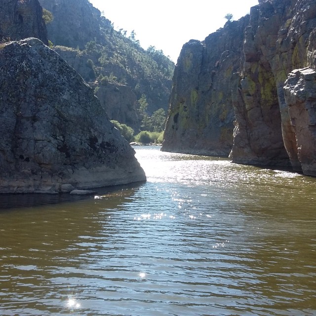 Casa da Ameixeira - Casas dos Carregais