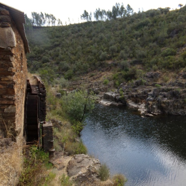 Casa da Cerejeira - Casas dos Carregais