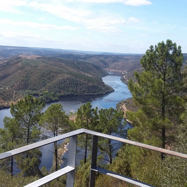 Casa da Cerejeira - Casas dos Carregais