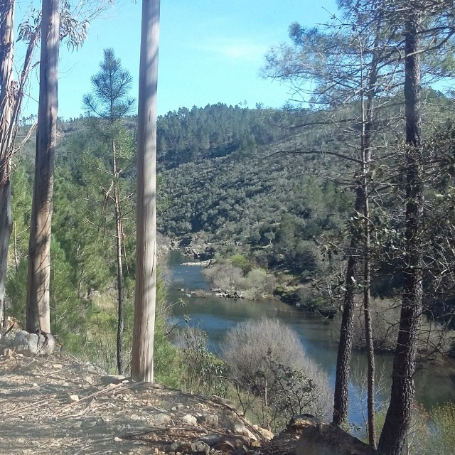 Casa da Cerejeira - Casas dos Carregais