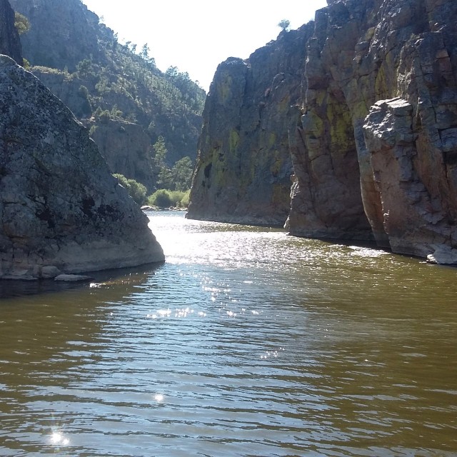 Casa da Cerejeira - Casas dos Carregais