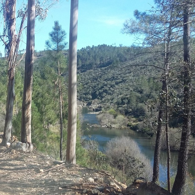 Casa da Laranjeira - Casas dos Carregais
