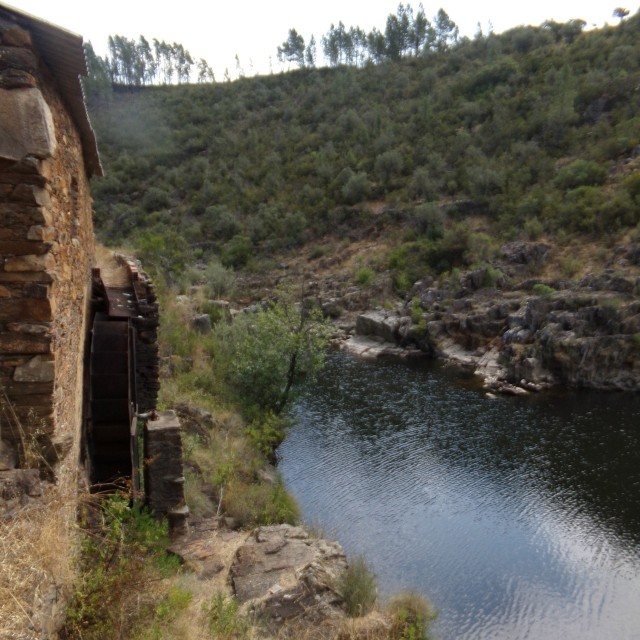 Casa da Oliveira - Casas dos Carregais