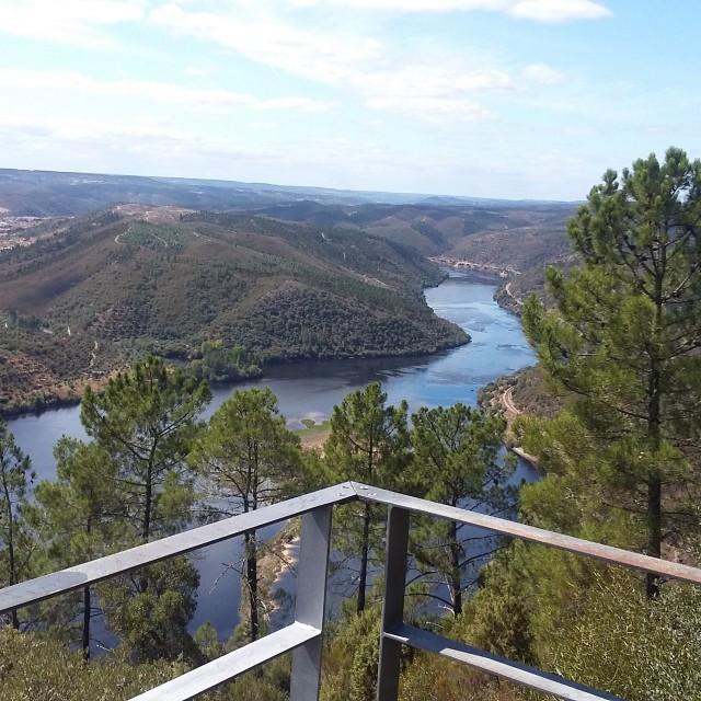 Casa da Oliveira - Casas dos Carregais