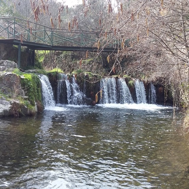 Casa da Oliveira - Casas dos Carregais