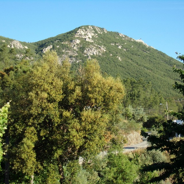 Casa da Oliveira - Casas dos Carregais