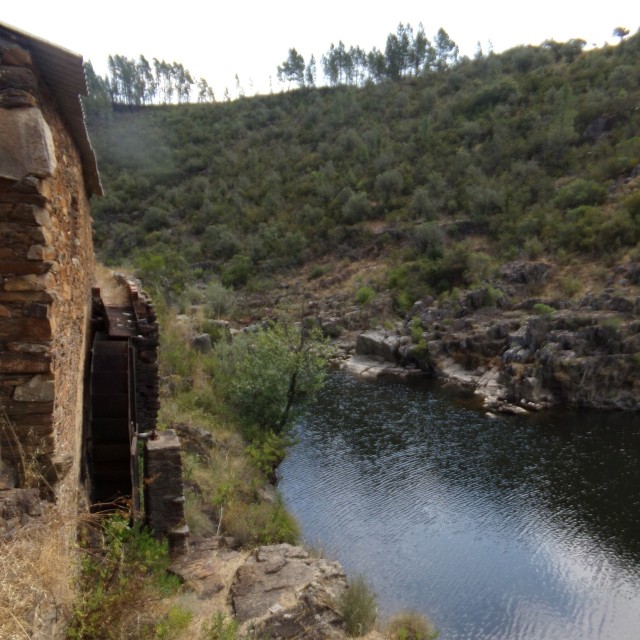 Casa do Castanheiro - Casas dos Carregais