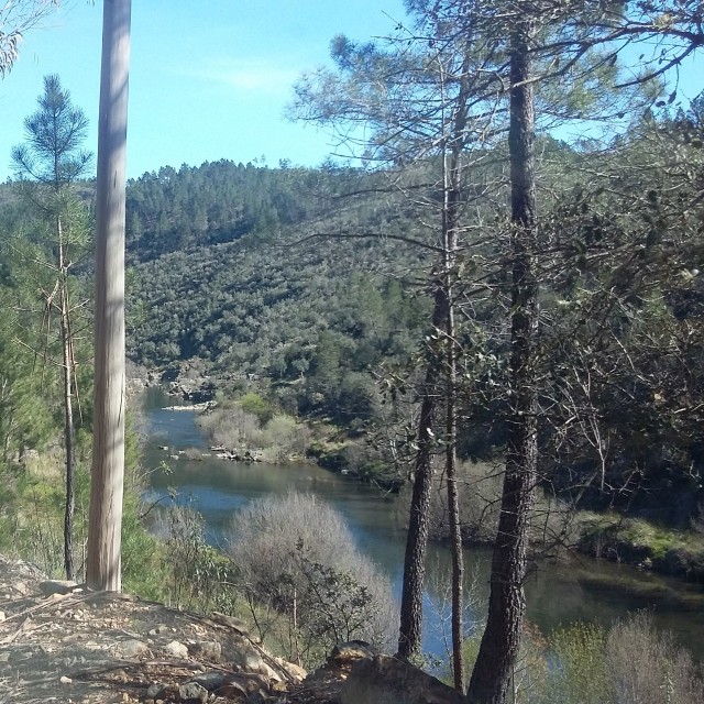Casa do Castanheiro - Casas dos Carregais