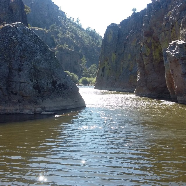 Casa do Castanheiro - Casas dos Carregais