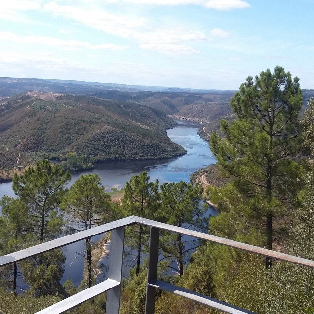Casa do Medronheiro - Casas dos Carregais