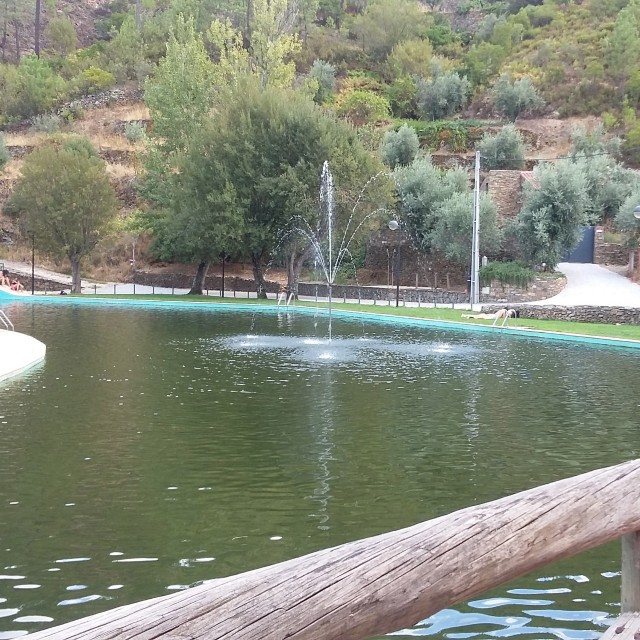 Casa do Medronheiro - Casas dos Carregais