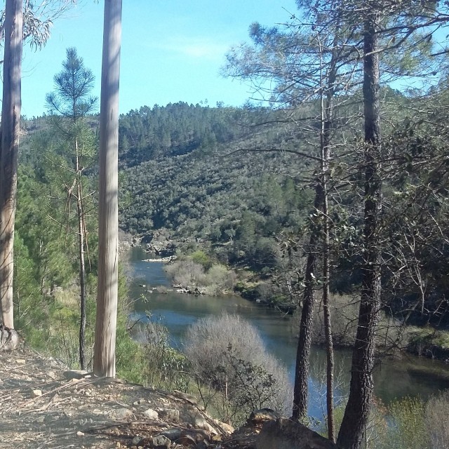 Casa do Medronheiro - Casas dos Carregais