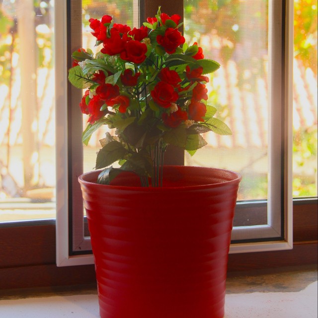 Casa do Medronheiro - Casas dos Carregais