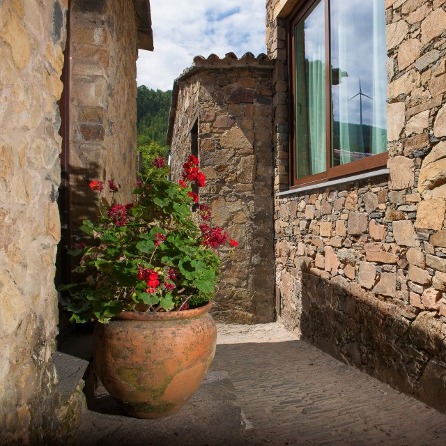 Casa da Nogueira - Mountain Whisper