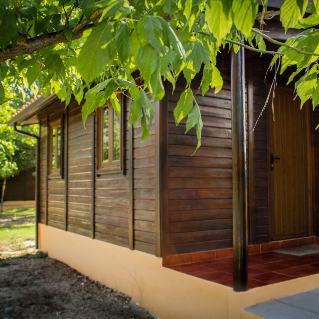 Casa dos Girassóis - Xisto Camping