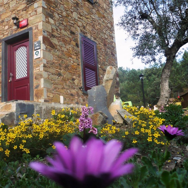 Casa Avô do Páteo - Casas do Couratão