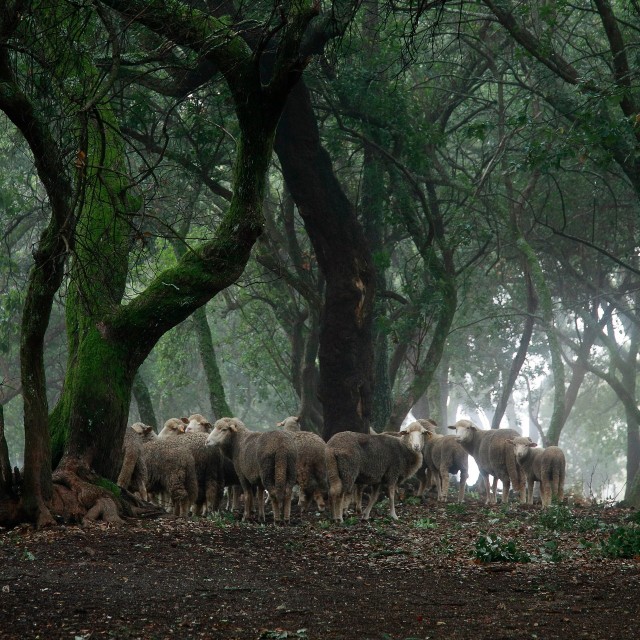 Quinta do Sobral - Solar