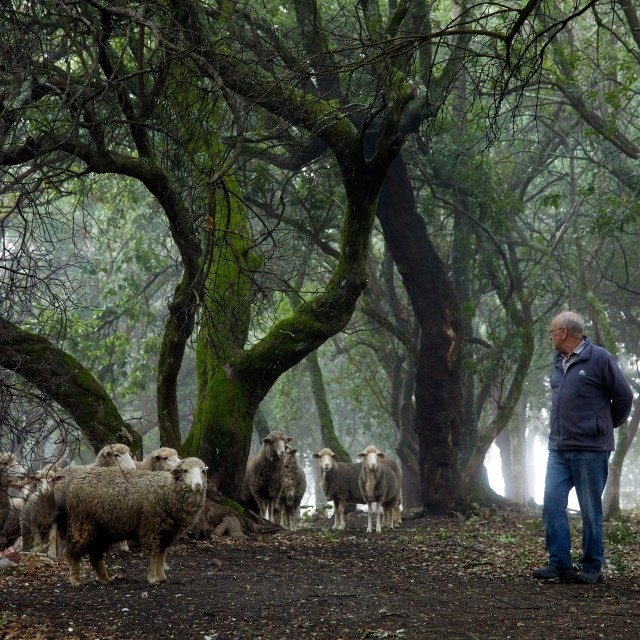Quinta do Sobral - Solar