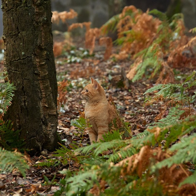 Quinta do Sobral - Solar