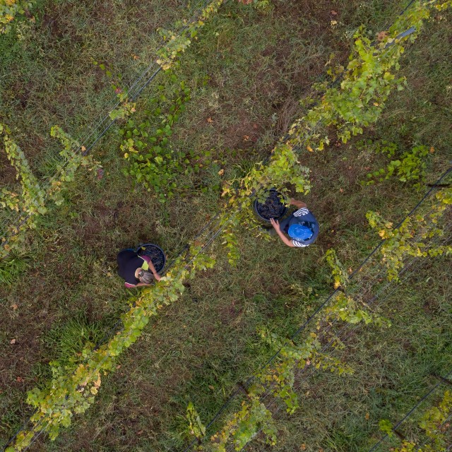 Quinta do Sobral - Solar