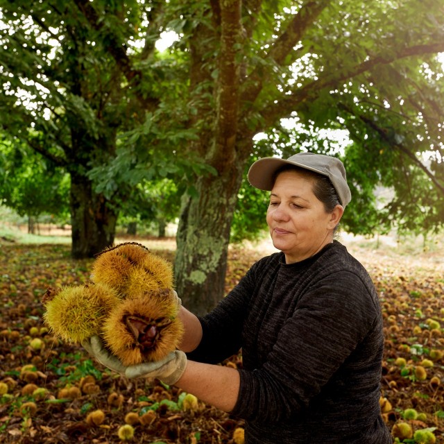 Quinta do Sobral - Solar