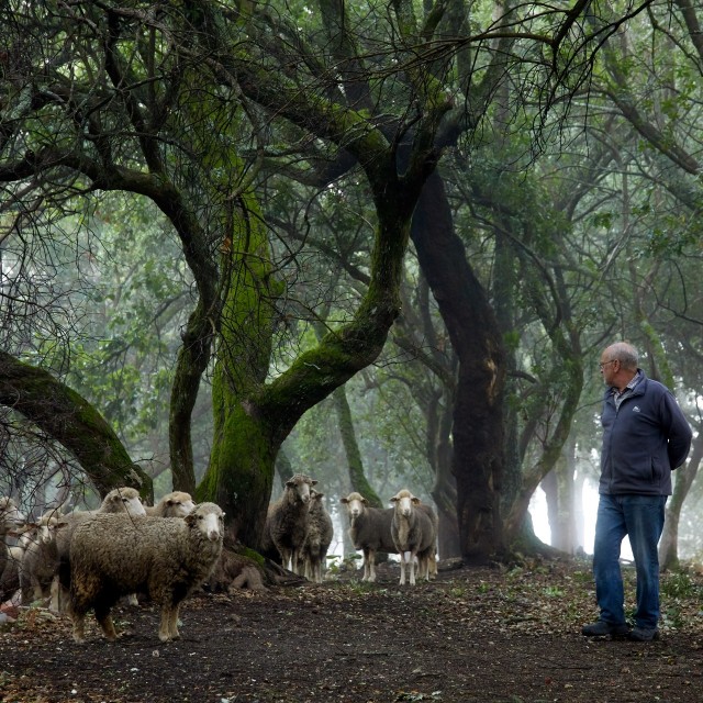 Quinta do Sobral - Casa Ouro