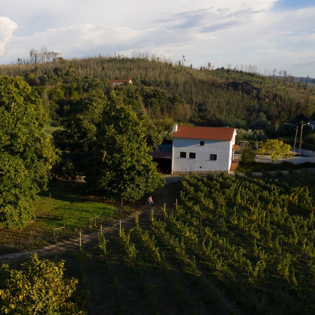 Quinta do Sobral - Casa Ouro