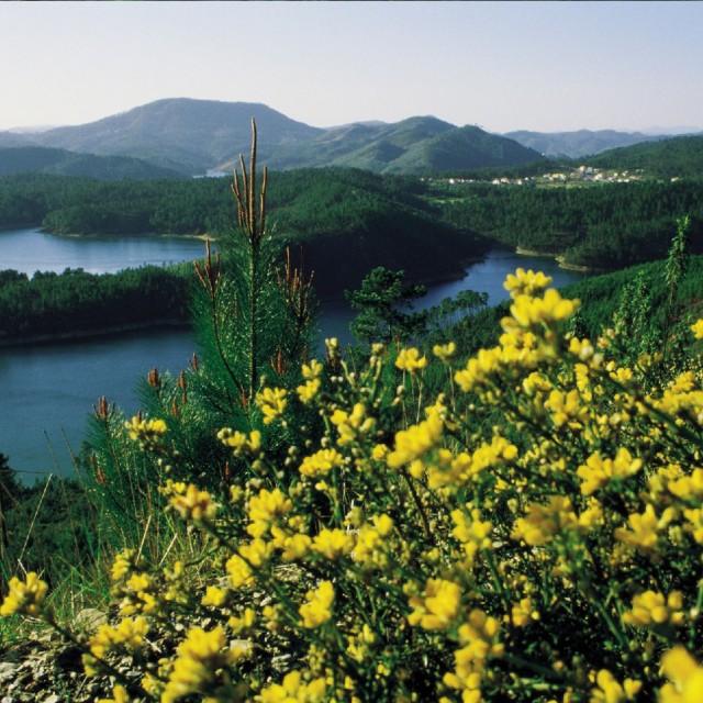 Convento da Sertã Hotel