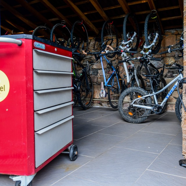 Vale do Ninho - Casa Pica-Pau