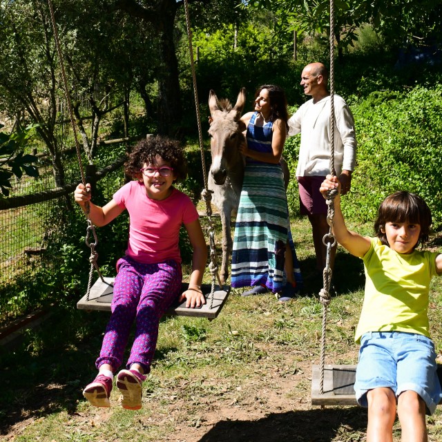 Vale do Ninho - Casa Pica-Pau