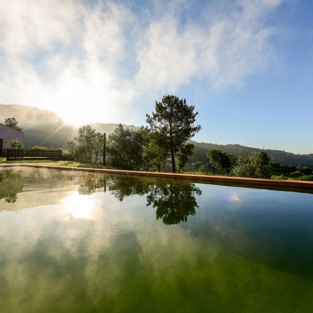 Vale do Ninho - Casa Pica-Pau