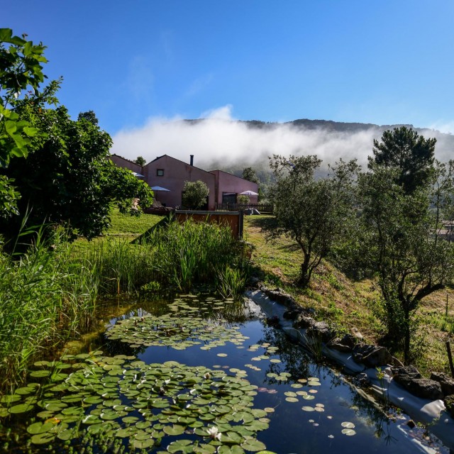 Vale do Ninho - Casa Pica-Pau