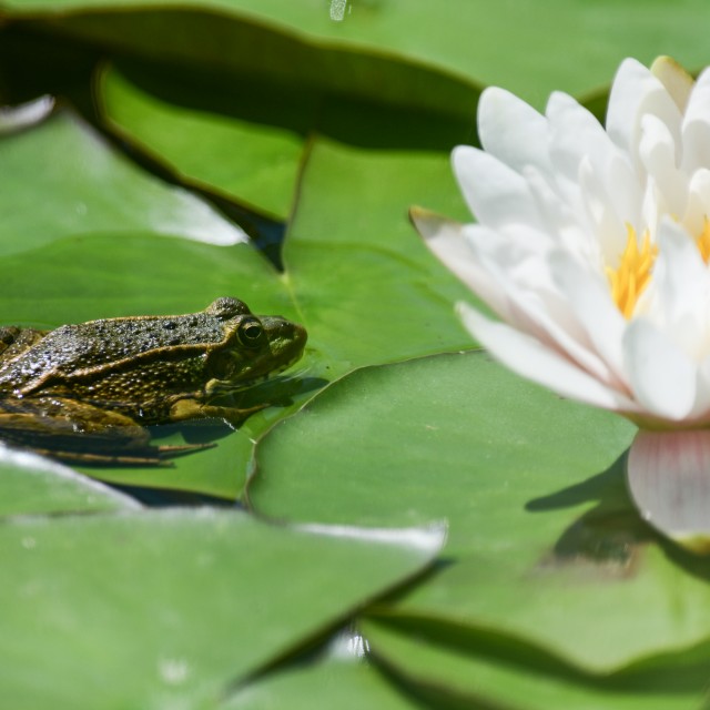 Vale do Ninho - Casa Pica-Pau
