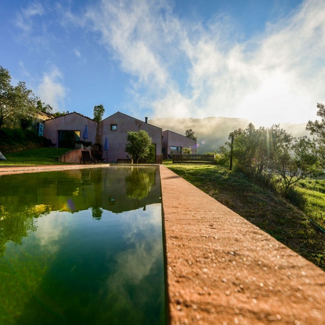 Vale do Ninho - Casa Pica-Pau