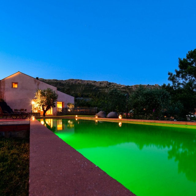 Vale do Ninho - Casa Pica-Pau