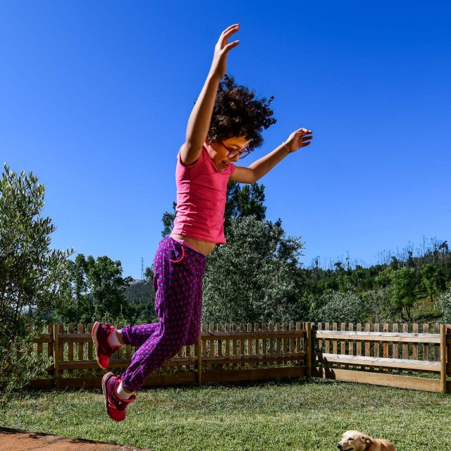 Vale do Ninho - Casa Pica-Pau