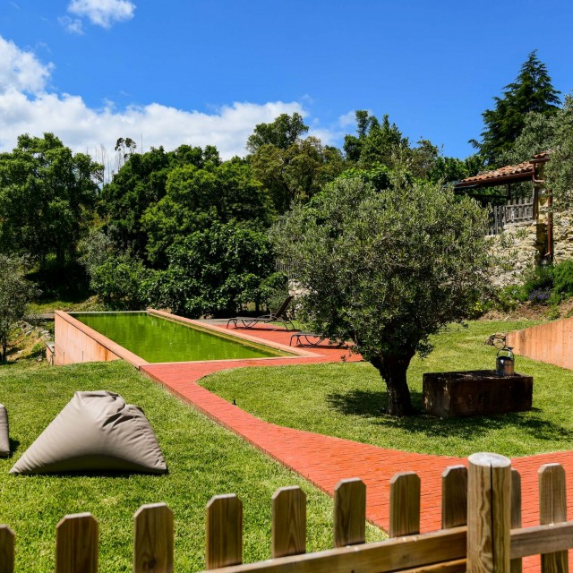 Vale do Ninho - Casa Pica-Pau