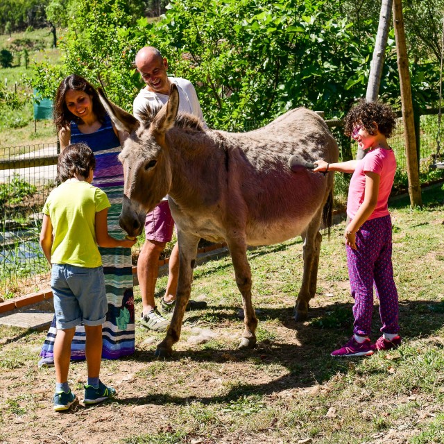 Vale do Ninho - Casa Cuco