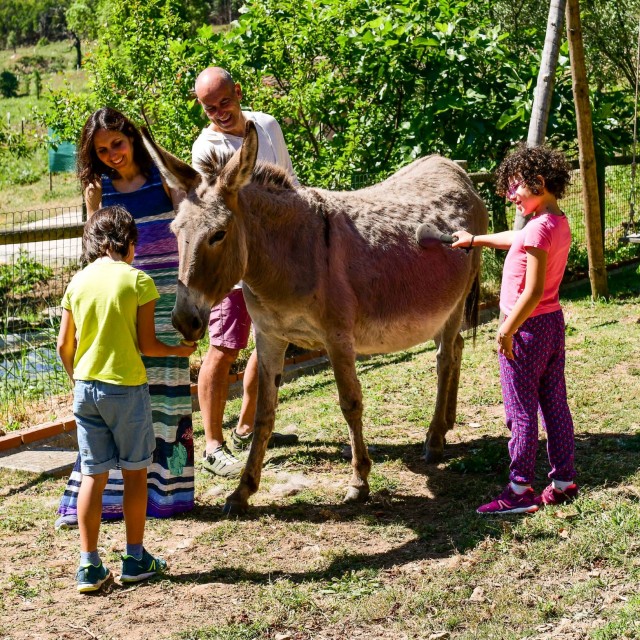 Vale do Ninho - Casa Noitibó